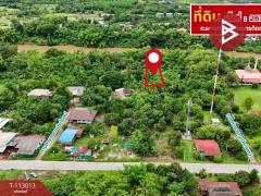 ขายที่ดิน เนื้อที่ 2 งาน 67 ตร.วา ผาจุก อุตรดิตถ์-202506021613021748855582759.jpg