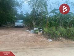 ขายที่ดิน เนื้อที่ 99 ตร.วา โสธร ฉะเชิงเทรา-202506021615521748855752750.jpg