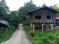 สนใจทรัพย์ดีราคาเงื่อนไขคุยตรงเจ้าของได้ ขายที่ดินติดลำธารน้ำใสไหลริน ชุ่มฉ่ำตลอดปี สวยวิวล้าน 800000บาท 3-0-35ไร่ อำเภอสันติสุข น่าน