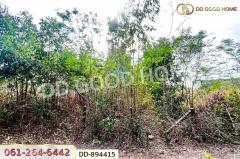 DD-894415 ที่ดินโนนสะอาด 100 ตร.ว. อุดรธานี ใกล้ที่ว่าการอำเภอโนนสะอาด-202506031147281748926048011.jpg