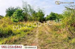 DD-894415 ที่ดินโนนสะอาด 100 ตร.ว. อุดรธานี ใกล้ที่ว่าการอำเภอโนนสะอาด-202506031147291748926049781.jpg