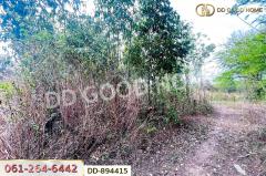 DD-894415 ที่ดินโนนสะอาด 100 ตร.ว. อุดรธานี ใกล้ที่ว่าการอำเภอโนนสะอาด-202506031147301748926050412.jpg