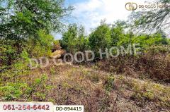 DD-894415 ที่ดินโนนสะอาด 100 ตร.ว. อุดรธานี ใกล้ที่ว่าการอำเภอโนนสะอาด-202506031147311748926051114.jpg