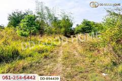 DD-894439 ที่ดินโนนสะอาด 100 ตร.ว. อุดรธานี ใกล้ที่ว่าการอำเภอโนนสะอาด-202506031219121748927952545.jpg