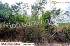 DD-894439 ที่ดินโนนสะอาด 100 ตร.ว. อุดรธานี ใกล้ที่ว่าการอำเภอโนนสะอาด-202506031219131748927953166.jpg