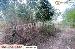 DD-894439 ที่ดินโนนสะอาด 100 ตร.ว. อุดรธานี ใกล้ที่ว่าการอำเภอโนนสะอาด-202506031219141748927954407.jpg