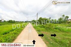 DD-894439 ที่ดินโนนสะอาด 100 ตร.ว. อุดรธานี ใกล้ที่ว่าการอำเภอโนนสะอาด-202506031219171748927957891.jpg