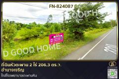 FN-824087 ที่ดินหัวตะพาน 2 ไร่ 206.3 ตร.ว. อำนาจเจริญ ใกล้โรงพยาบาลตะพานหิน