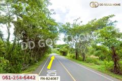 FN-824087 ที่ดินหัวตะพาน 2 ไร่ 206.3 ตร.ว. อำนาจเจริญ ใกล้โรงพยาบาลตะพานหิน-202506031250081748929808897.jpg