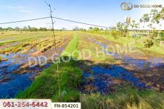 FN-854201 ที่ดินชุมพลบุรี 5 ไร่ 105 ตร.ว. สุรินทร์ ใกล้ตลาดเทศบาลชุมพลบุรี-202506031357531748933873964.jpg