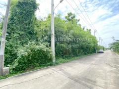 ที่ดิน ซอยไทรม้า เมืองนนทบุรี-202506031455341748937334146.jpg