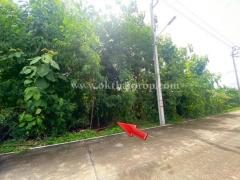 ที่ดิน ซอยไทรม้า เมืองนนทบุรี-202506031455381748937338110.jpg