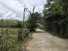 ให้เช่าที่ดิน-202506031624431748942683173.jpeg