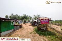 FN-854215 ที่ดินพร้อมสิ่งปลูกสร้างห้วยกระเจา 1 ไร่ กาญจนบุรี ใกล้วัดหนองต่อยอด-202506031706061748945166361.jpg