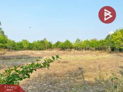 ขายที่ดิน เนื้อที่ 9 ไร่ 3 งาน 21.1 ตร.วา นาราชควาย นครพนม