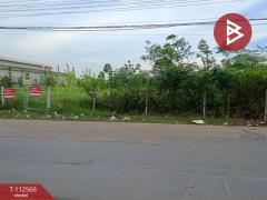 ขายที่ดินเปล่า เนื้อที่ 4 ไร่ 2 งาน 79 ตร.วา นาดี สมุทรสาคร-202506041233551749015235375.jpg