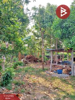 ขายที่ดิน เนื้อที่ 1 ไร่ 3 งาน 81.5 ตร.วา เสลภูมิ ร้อยเอ็ด