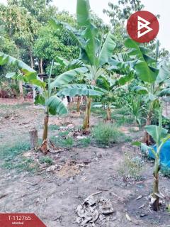 ขายที่ดิน เนื้อที่ 1 ไร่ 3 งาน 81.5 ตร.วา เสลภูมิ ร้อยเอ็ด-202506041428401749022120526.jpg