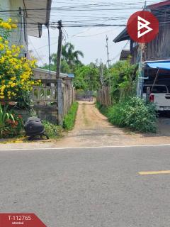 ขายที่ดิน เนื้อที่ 1 ไร่ 3 งาน 81.5 ตร.วา เสลภูมิ ร้อยเอ็ด-202506041428421749022122875.jpg