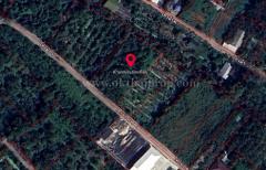 ที่ดิน ซอยไทรม้า เมืองนนทบุรี-202506041442551749022975598.jpg