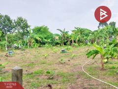 ขายที่ดิน เนื้อที่ 2 งาน 52 ตร.วา เสลภูมิ ร้อยเอ็ด-202506041456341749023794834.jpg