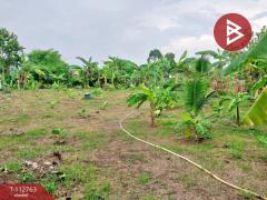 ขายที่ดิน เนื้อที่ 2 งาน 52 ตร.วา เสลภูมิ ร้อยเอ็ด-202506041456351749023795491.jpg
