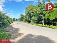 ขายที่ดิน เนื้อที่ 1 ไร่ 1.3 ตร.วา อู่ทอง สุพรรณบุรี-202506041518211749025101885.jpg