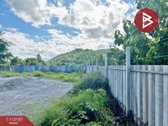 ขายที่ดิน เนื้อที่ 1 ไร่ 1.3 ตร.วา อู่ทอง สุพรรณบุรี-202506041518231749025103657.jpg
