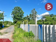 ขายที่ดิน เนื้อที่ 1 ไร่ 1.3 ตร.วา อู่ทอง สุพรรณบุรี-202506041518241749025104237.jpg