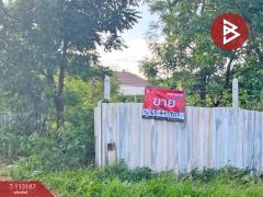 ขายที่ดิน เนื้อที่ 1 ไร่ 1.3 ตร.วา อู่ทอง สุพรรณบุรี-202506041518241749025104878.jpg
