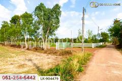 LK-904479 ที่ดินศรีมหาโพธิ 24 ไร่ 112 ตร.ว. ปราจีนบุรี ใกล้วัดหัวซาธรรมิการาม-202506041549471749026987608.jpg