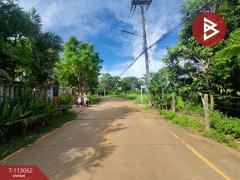 ขายที่ดิน เนื้อที่ 2 ไร่ ท่าช้าง จันทบุรี-202506041552291749027149158.jpg