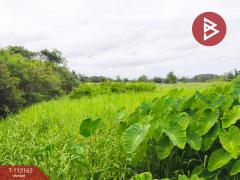 ขายที่ดิน เนื้อที่ 1 งาน 85 ตร.วา บางกะจะ จันทบุรี