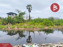ขายที่ดิน เนื้อที่ 1 งาน 85 ตร.วา บางกะจะ จันทบุรี-202506041655591749030959181.jpg