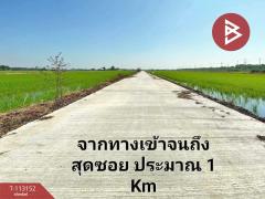 ขายที่ดิน เนื้อที่ 7 ไร่ หนองจอก กรุงเทพมหานคร-202506041709421749031782807.jpg