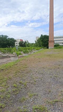 ขายที่ดินอำเภอเมืองนครราชสีมาติดถนนมิตรภาพใกล้เซ็นทรัล-202506041732351749033155872.jpg