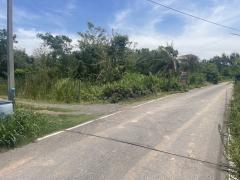 ที่ดินทำเลดี หนองจิก สระบุรี-202506042022351749043355532.jpg