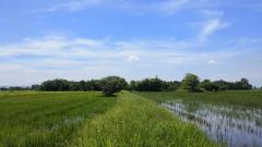 ที่ดินทำเลดี หนองจิก สระบุรี-202506042022361749043356171.jpg
