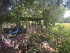 ที่ดินทำเลดี หนองจิก สระบุรี-202506042022361749043356793.jpg