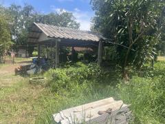 ที่ดินทำเลดี หนองจิก สระบุรี-202506042022371749043357429.jpg