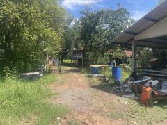 ที่ดินทำเลดี หนองจิก สระบุรี-202506042022381749043358094.jpg