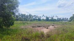 ขายด่วนที่ดินพื้นที่ท่องเที่ยวทางทะเล หาดแหลมสิงห์-202506042136361749047796694.jpg