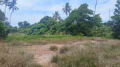 ขายด่วนที่ดินพื้นที่ท่องเที่ยวทางทะเล หาดแหลมสิงห์-202506042136371749047797924.jpg