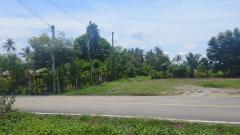 ขายด่วนที่ดินพื้นที่ท่องเที่ยวทางทะเล หาดแหลมสิงห์-202506042136381749047798506.jpg