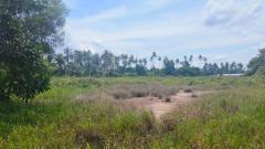 ขายด่วนที่ดินพื้นที่ท่องเที่ยวทางทะเล หาดแหลมสิงห์-202506042136391749047799575.jpg