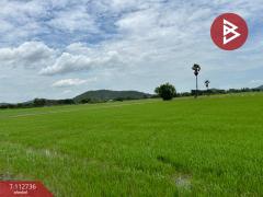 ขายที่ดิน เนื้อที่ 42 ไร่ 52 ตร.วา เขาพระ สุพรรณบุรี-202506050952001749091920728.jpg