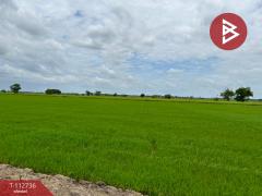 ขายที่ดิน เนื้อที่ 42 ไร่ 52 ตร.วา เขาพระ สุพรรณบุรี-202506050952021749091922538.jpg