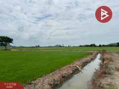 ขายที่ดิน เนื้อที่ 42 ไร่ 52 ตร.วา เขาพระ สุพรรณบุรี-202506050952031749091923132.jpg