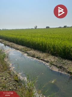 ขายที่ดิน เนื้อที่ 42 ไร่ 52 ตร.วา เขาพระ สุพรรณบุรี-202506050952041749091924341.jpg