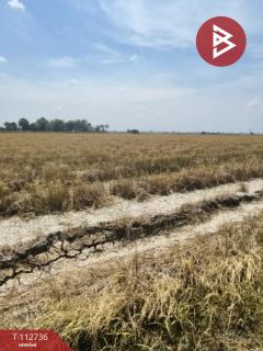 ขายที่ดิน เนื้อที่ 42 ไร่ 52 ตร.วา เขาพระ สุพรรณบุรี-202506050952051749091925536.jpg